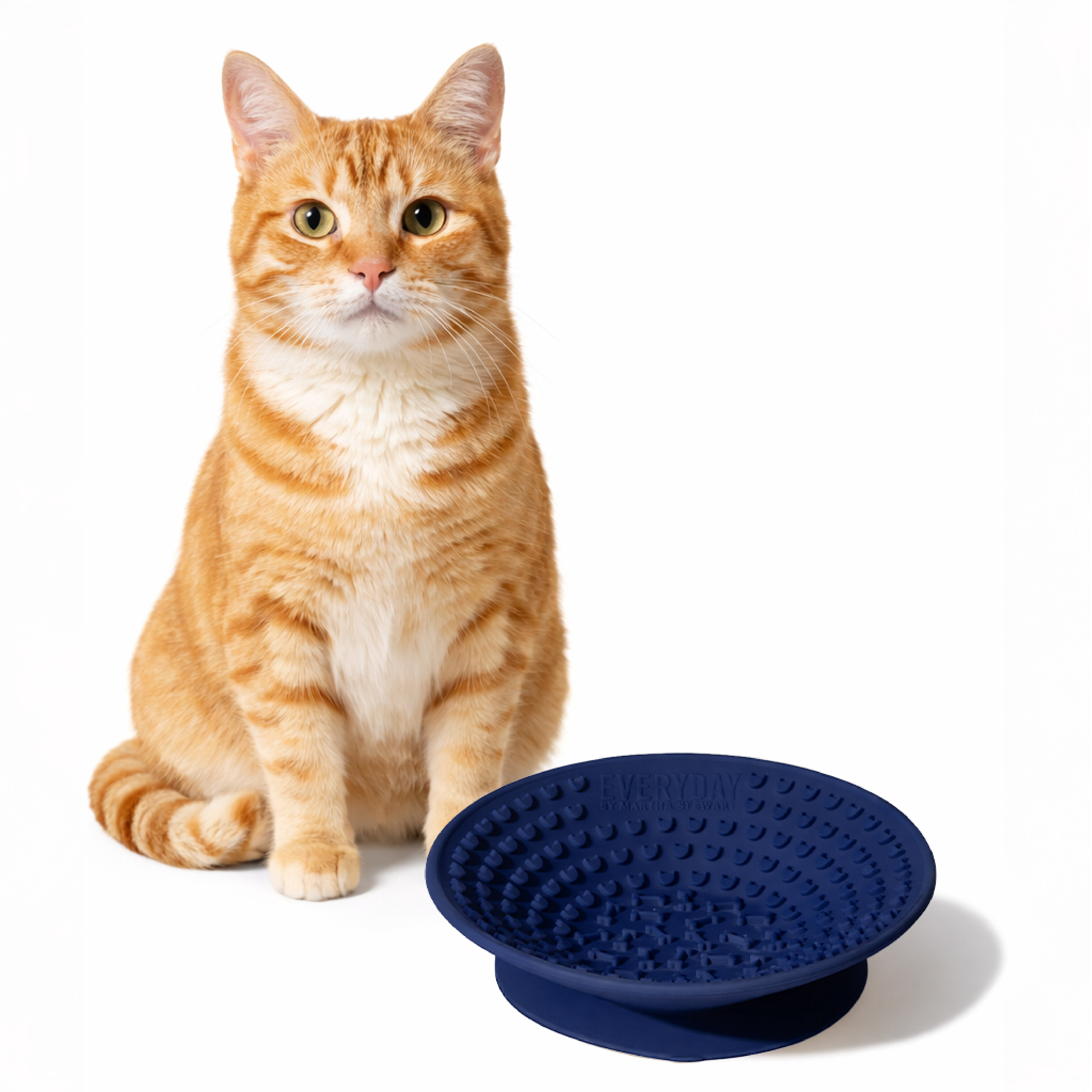 Martha Stewart Navy Occupy Lick Dog Bowl - Slow Feeder