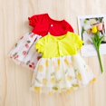 ILJNDTGBE Baby Summer Dress Cherry Lemon Print Small Fresh Crew Neck ...