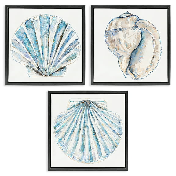 Stupell Industries Clam & Conch Watercolors Nautical & Beach Painting Black Floater Framed Canvas Art Print Wall Art, 18 x 18, Set of 3