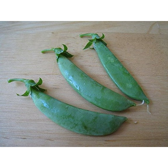 Pea Sugar Snap Great Heirloom Vegetable by Seed Kingdom Bulk 5 Lb Seeds