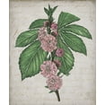 thumbnail image 2 of Wang, Melissa 15x17 Black Ornate Wood Framed with Double Matting Museum Art Print Titled - Floral Memory II, 2 of 4