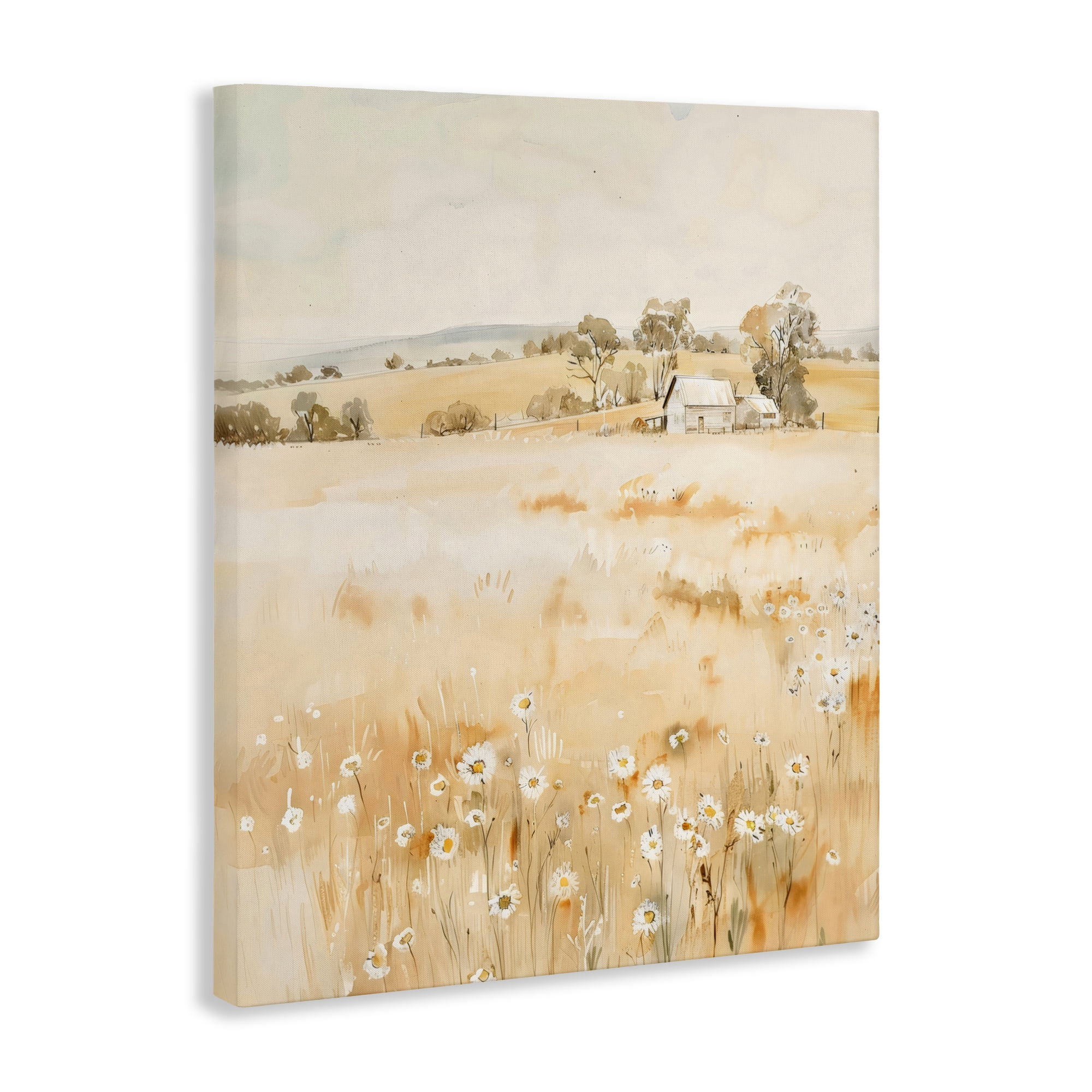 Stupell Industries Farm Country Meadow with Daisies Canvas Wall Art, design by Creative Studio