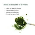 thumbnail image 3 of Eclectic Herb - Nettle Leaf Powder Supplement | Supports Sinuses + Immune Response | Urtica Dioica Natural Herbal Supplement | Vegan, Whole Herb, Raw, Non-GMO (2.1 oz | 60 g), 3 of 9