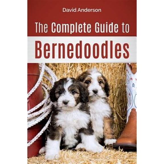 Pre-Owned The Complete Guide to Bernedoodles: Everything you need to know to successfully raise your Bernedoodle puppy! (Paperback) 1985721627 9781985721623