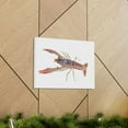 thumbnail image 6 of Majestic Cray Fish Art Majestic Cray Fish Print Animal Wall Art Wildlife Canvas Prints Wall Art Ready to Hang Unframed, 6 of 18