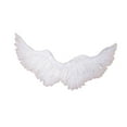 thumbnail image 4 of Alas de ángel de utilería para espectáculos infantiles y de adultos, ideales para fiestas. Alas de diablo. Blanco, 4 of 9