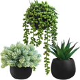 thumbnail image 1 of Set de plantas suculentas artificiales Winlyn con macetas de hormigón negro, 1 of 7