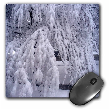 3dRose  Springtime in Wisconsin  MousePad price history on PriceWatchPro