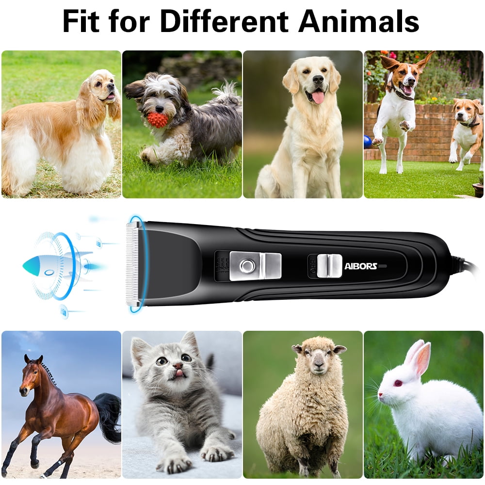 High Power Heavy Duty Electric Dog Clippers Long Hair for Thick Heavy Coats for All Breeds of Dogs and Cats Sheep by The Used by Professionals 
