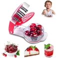 thumbnail image 1 of Cherry Pitter Tool Stainless Steel Cherry Pitting Tool, Portable Cherry Corer Stoner Seed Pitter Chomper Tool, Fruit Pit Remover with Space-Saving Loc, 1 of 5