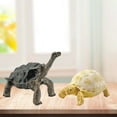 thumbnail image 3 of Modèle Tortue Sulcata Moule Texture Claire Vive Effet 3D Mer Océan Vie Simulation Modèle Animal pour Enfants, 3 of 6