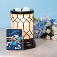thumbnail image 3 of Scentsationals 2.5 oz Scented Wax Melts (1-Pack), Berry Elixir, 3 of 7
