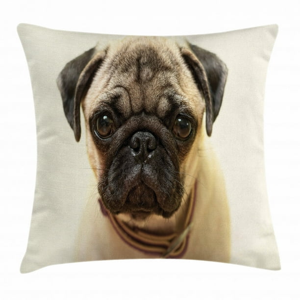 Pug Throw Pillow Cushion Cover Photograph Of A Pug Pure Bred Puppy With A Loose Collar