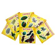 Insect Lores Life Cycle Figurines 24 Pc Set | Butterfly, Ladybug, Frog, Honey Bee, Ant and Praying Mantis | 4 Stages Per Insect, 24 Figurines Total