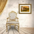 thumbnail image 3 of Illg, Cathy and Gordon 18x13 Gold Ornate Wood Framed with Double Matting Museum Art Print Titled - UT, Lower Calf Creek Falls Waterfall into pool, 3 of 4