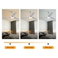 thumbnail image 3 of Wildnix Ceiling Fan Light with 6-Speed Adjustable Wind, Remote Control, LED Light with White, Warm, and Neutral Settings, Quiet Pure Copper Motor, 3 of 7