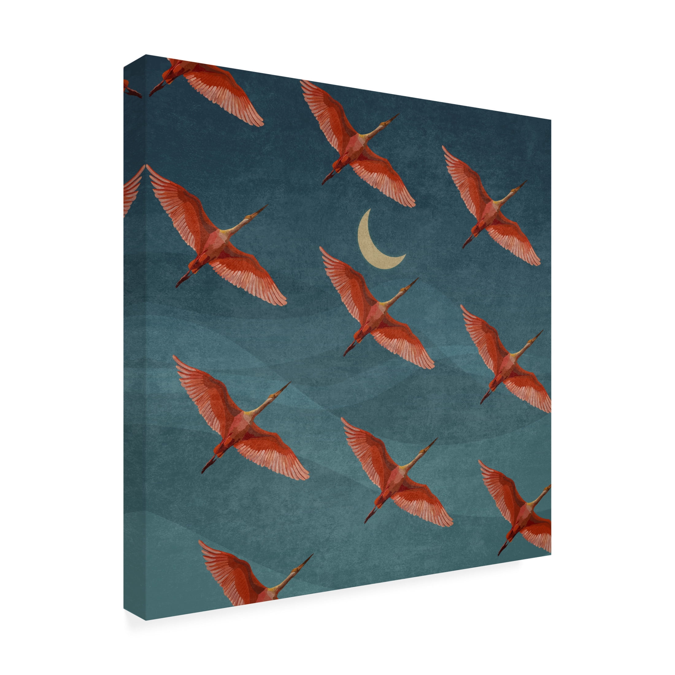 Trademark Fine Art Emel Tunaboylu  Leylek Surusu Canvas Wall Art