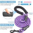 thumbnail image 2 of Strong Dog Leash with Comfortable Padded Handle and Highly Reflective Threads-Purple, 2 of 5
