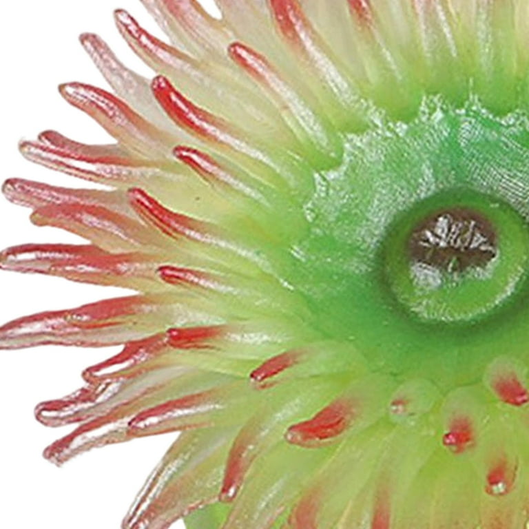 知育玩具 anemone Sea Creatures Sea Anemone Learning Toys Aquarium Landscape