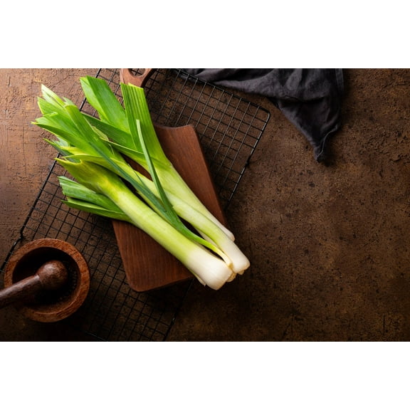 Large American Flag Leek Premium Seed Packet