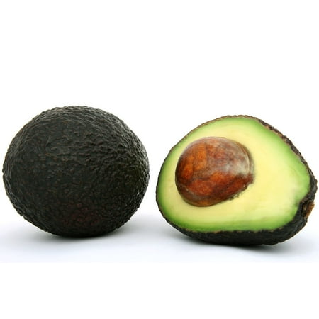 Alligator Canvas - Canvas Print Avacado Avocado Catering Calories Appetite AVO Stretched Canvas 10 x 14