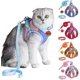 thumbnail image 1 of JSXD Juego de correa y collar para gatos, chaleco para gatitos a prueba de escapes, arnés para caminar, fácil control, seguro para la noche, arnés para mascotas con correa reflectante y campana para g, 1 of 1
