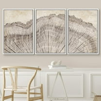 PixonSign Framed Wall Art Set Retro Close Up Oak Wood Tree Rings Nature Wilderness Modern Art Decorative Farmhouse Zen Artwork for Living Room, Bedroom, Office - 24"x36"x3 White