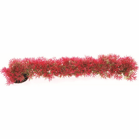 Bendable Fuzzy Foreground Plant Red 8 Inch