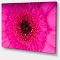thumbnail image 2 of Macro Photo of Gerbera Flower - Flowers Canvas Wall Artwork, 2 of 4