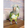 thumbnail image 4 of Bird Flight Harness Vest, Parrot Flight Suit with Leash for Cockatiels Conures Budgies, Bird Flying Clothes with Rope and Handle for Outdoor Activities Training (Yellow Vast, L), 4 of 5
