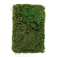 thumbnail image 3 of Efavormart 50g/Bag Green Preserved Natural Reindeer Moss Wedding Decoration Birthday Party Arrangement, 3 of 10