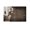 Unframe-style, variant on Thomas Edison Motivational Poster Quote Inspirational Poster Decorative Painting Canvas Wall Art Living Room Posters Bedroom Painting 08x12inch(20x30cm)
