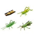thumbnail image 2 of Cricket Life Cycle Of A Growth Stage Model Educational Plant Growth Cycle Toy, 2 of 5
