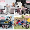 thumbnail image 6 of Pet Carrier, TSA Airline Approved Soft Sided Collapsible Cat and Dog Travel Carrier up to 15 Lbs, Small Medium Puppy Carrier with Mesh, Pink 15.7x10.2x10.2 Inches, 1-Pack, 6 of 8