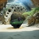 thumbnail image 1 of unbranded Para De Pecera Con Natural Y Material ABS Duradero, 1 of 8