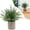 Green, variant on 1PC Artificial Potted Plants, Realistic Faux Greenery in Cement Pots for Home Office Desk Bookshelf Decor, Small Fake Plants for Indoor Tabletop Decoration