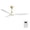 Gold+ABS, variant on LHYY 60 Inch Indoor Modern ABS Smart Ceiling Fan With 6 Speed Remote Control Reversible DC Motor For Bedroom