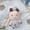 SUNGCHAN / 10cm, variant on 10cm Kpop Idol RIIZE Plush Doll Keyring Stuffed Animal Dolls Bag Charm Keychians for BRIIZE Gift,EUNSEOK