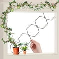 thumbnail image 2 of Darzheoy Hexagonal Iron Climbing Frame for Plants - Adjustable Flower Support for Pothos Ivy Roses, Sturdy Metal Chain Grids for Wall Garden Display, black, 2 of 8