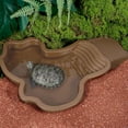 thumbnail image 3 of Turtle Bathing Pool with Removable Ladder for Reptiles and Amphibians, 1 Count, 3 of 7