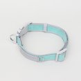 thumbnail image 5 of Zhaomeidaxi Reflective Dog Collar,Wear-resistant Artificial_Suede Pet Collar Adjustable for Small Medium Large Dogs, 5 of 8