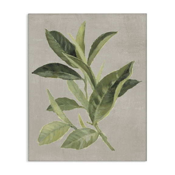 Stupell Industries Green Tea Plant Leaf Floral Painting Wrapped Canvas Canvas Art Print Wall Art, 16 x 20
