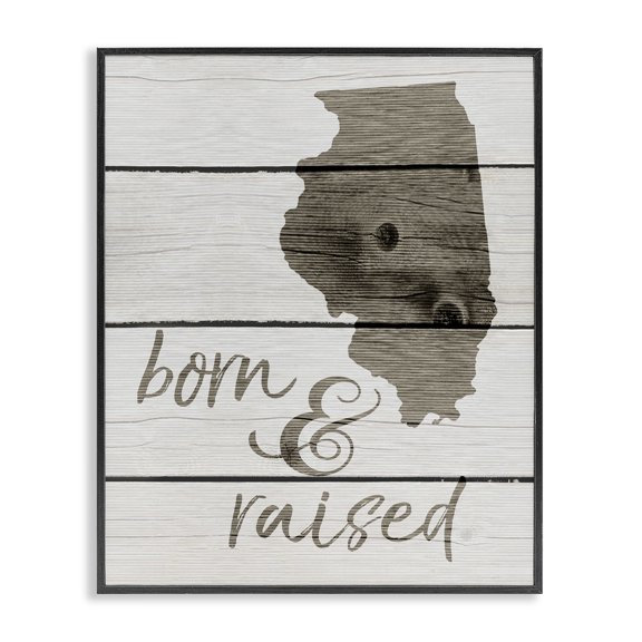 Stupell Industries Farmhouse Born And Raised Illinois Black Framed Giclee Art, 24 x 30, by Lil' Rue