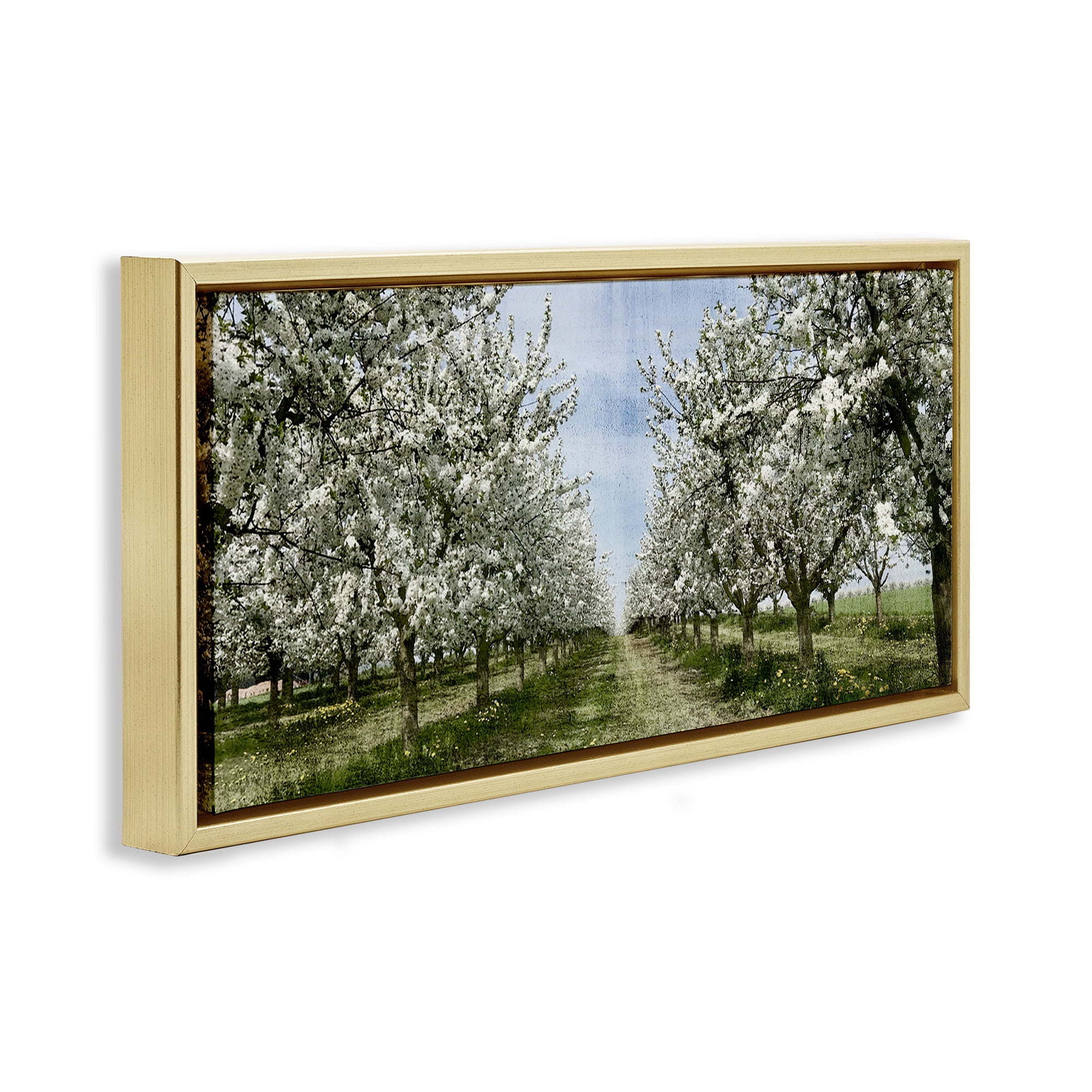 Stupell Industries Blooming White Tree Orchard Landscape Photography Gold Floater Framed Canvas Art Print Wall Art, 31 x 14