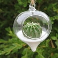 thumbnail image 3 of Jiandong glass terrarium VOSAREA 4pcs Hanging Glass Terrarium for Plants and Succulents(3.94X3.54X3.54Inch), 3 of 10