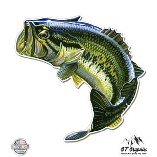 Bass Fishing Decal 4 Pack: Bass Jumping, Large Mouth Bass, Bass Fishing  Boat, Detailed Jumping Bass (White, Large ~5)