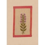 Bnf Botanique: Carnet Blanc, Fleur 2, Miniature Indienne 18e Sicle (Paperback)