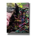 thumbnail image 1 of Epic Graffiti 'Deb Sebul 1' by Dean Russo, Canvas Wall Art, 12"x16", 1 of 8