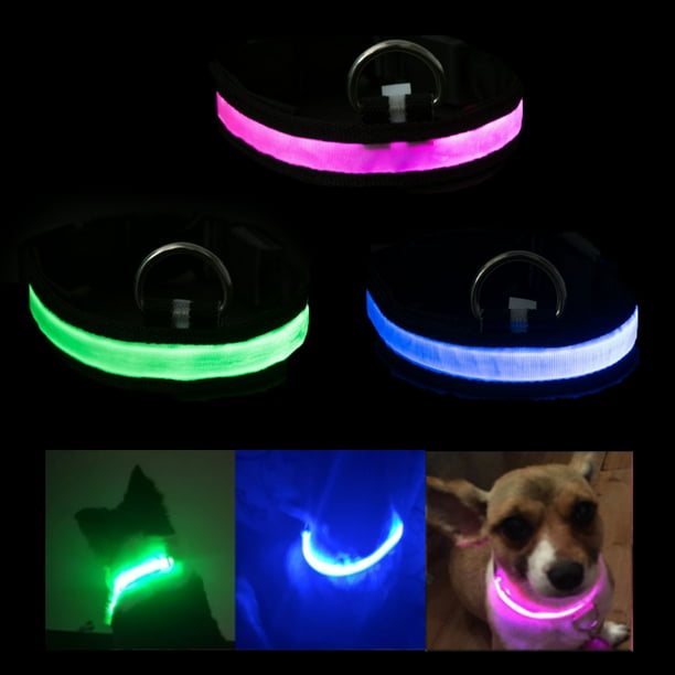 EIMELI LED Dog Collar, USB Rechargeable Light Up Glowing Pet Collar
