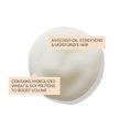 thumbnail image 4 of BOMBAS DE PEQUEÑOS DINOS PUROS PARA SPA: 6 bombas de baño en FORMA DE HUEVO para niños con PEQUEÑOS DINOS sorpresa en el interior Bombas de baño naturales hechas a mano en EE. UU. Idea de regalo de cu, 4 of 5